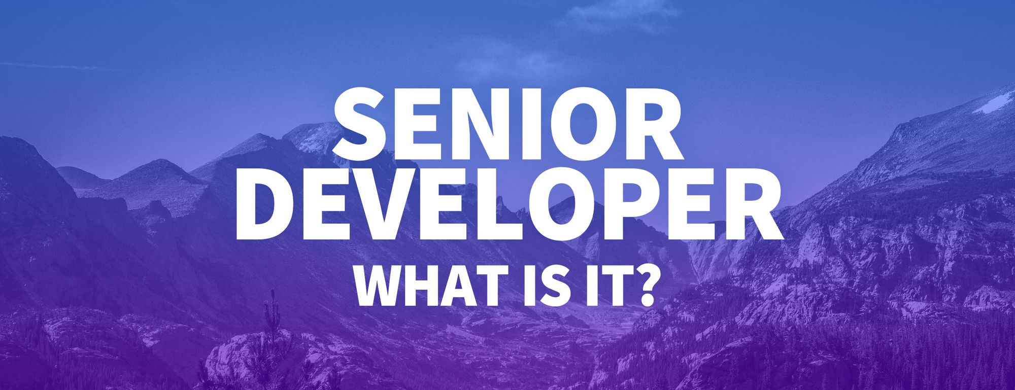 what-is-a-senior-developer-and-how-can-i-become-one-digination